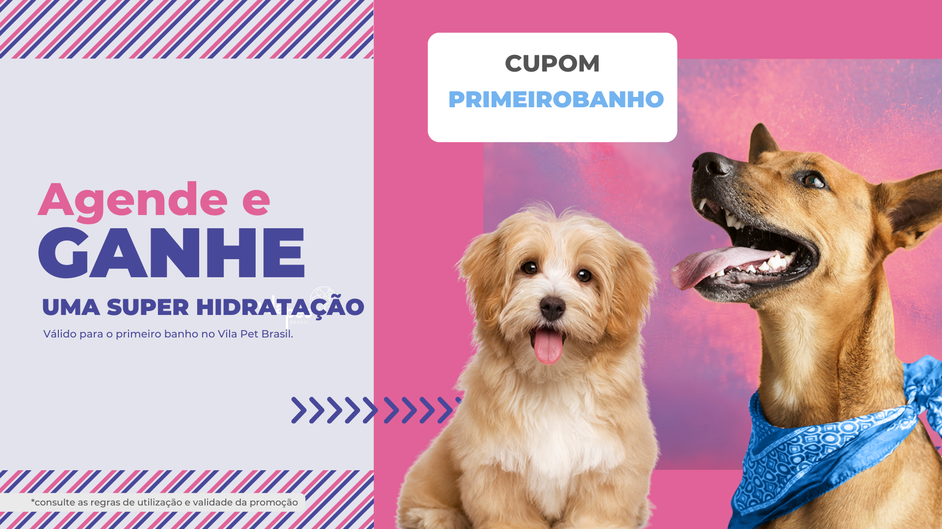 promoção de primeiro banho